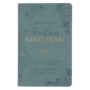Devotional Trusting God's Plan Faux Devotional Trusting God's Plan Faux