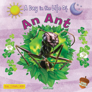 An Ant