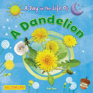 A Dandelion A Dandelion