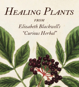 Healing Plants : From Elizabeth Blackwell's a Curious Herbal Healing Plants : From Elizabeth Blackwell's a Curious Herbal