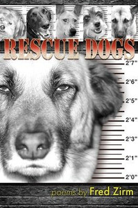 Rescue Dogs Rescue Dogs