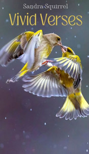 Vivid Verses