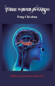 Three Wishes in Bardo