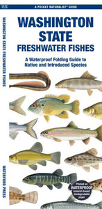 Washington State Freshwater Fishes : A Waterproof Folding Guide to Native and Introduced Species