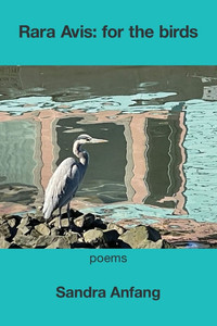 Rara Avis : For the Birds Rara Avis : For the Birds