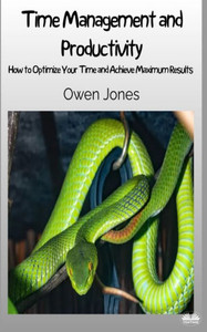 Time Management And Productivity : How To Optimise Your Time And Achieve Maximum Results!