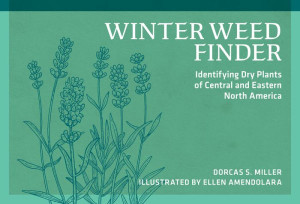 Winter Weed Finder : Identifying Dry Plants of Central and Eastern North America