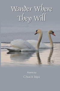 Wander Where They Will Wander Where They Will