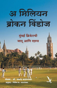 A Million Broken Windows