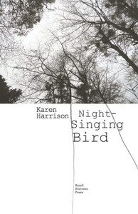 Night-Singing Bird Night-Singing Bird