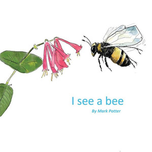 I See A Bee I See A Bee
