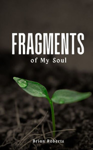 Fragments of My Soul Fragments of My Soul