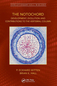The Notochord : Development, Evolution and Contributions to the Vertebral Column The Notochord : Development, Evolution and Contributions to the Vertebral Column