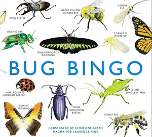 Bug Bingo
