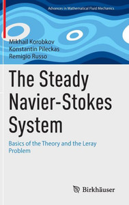 The Steady Navier-Stokes System : Basics of the Theory and the Leray Problem The Steady Navier-Stokes System : Basics of the Theory and the Leray Problem
