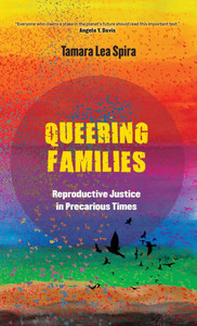 Queering Families: Reproductive Justice in Precarious Times Volume 12 - (Hardback or Cased Book)