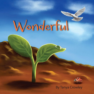 Wonderful - (Paperback or Softback) Wonderful - (Paperback or Softback)