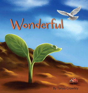 Wonderful - (Hardback or Cased Book) Wonderful - (Hardback or Cased Book)