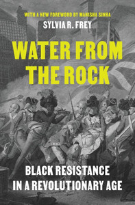 Water from the Rock: Black Resistance in a Revolutionary Age Water from the Rock: Black Resistance in a Revolutionary Age