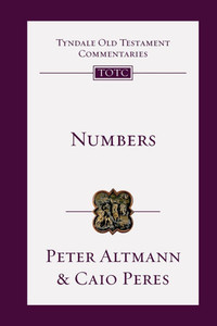 Numbers: An Introduction and Commentary - (Paperback or Softback)