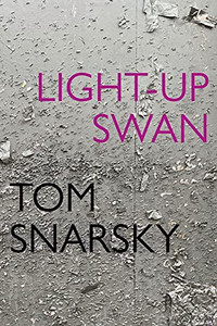 Light-Up Swan