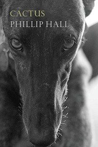 Cactus - 9780648936763