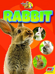 Rabbit - 9781791135133