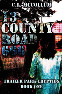 13 County Road 666 - (Paperback or Softback) 13 County Road 666 - (Paperback or Softback)