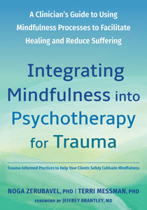 Integrating Mindfulness Into Psychotherapy for Trauma: A Clinician's Guide to Using Mindfulness Processes to Facilitate Healing and Reduce Suffering