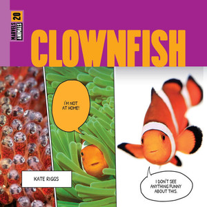 Clownfish Clownfish
