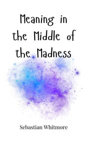 Meaning in the Middle of the Madness - (Hardback or Cased Book)