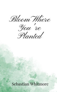 Bloom Where You're Planted - (Paperback or Softback) Bloom Where You're Planted - (Paperback or Softback)