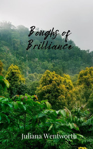 Boughs of Brilliance - (Paperback or Softback)