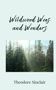Wildwood Woes and Wonders - (Paperback or Softback) Wildwood Woes and Wonders - (Paperback or Softback)