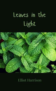 Leaves in the Light Leaves in the Light
