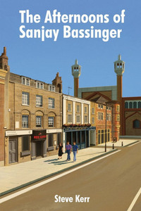 The Afternoons of Sanjay Bassinger
