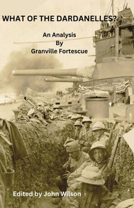 What of the Dardanelles? What of the Dardanelles?