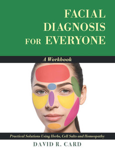 Facial Diagnosis for Everyone: A Workbook: Practical Solutions Using Herbs, Cell Salts, and Homeopathy