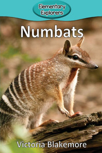Numbats - (Paperback or Softback)