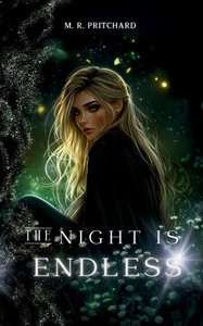 The Night is Endless - (Paperback or Softback) The Night is Endless - (Paperback or Softback)