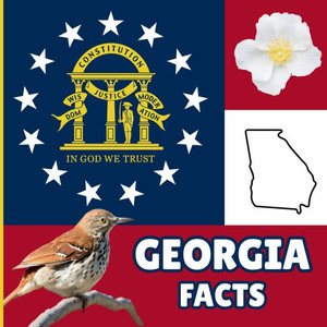 Georgia Facts: Interesting Facts About Georgia