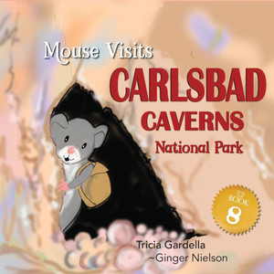 MOUSE Visits Carlsbad Caverns National Park - (Paperback or Softback) MOUSE Visits Carlsbad Caverns National Park - (Paperback or Softback)