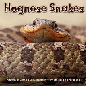 Hognose Snakes - (Paperback or Softback) Hognose Snakes - (Paperback or Softback)