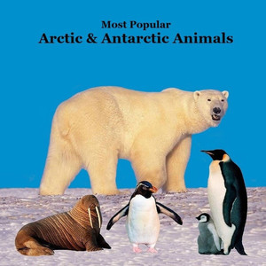 Most Popular Arctic and Antarctic Animals Kids Book: Great Arctic Animals Children's Book with Lifelike Pictures and Fun Facts Most Popular Arctic and Antarctic Animals Kids Book: Great Arctic Animals Children's Book with Lifelike Pictures and Fun Facts
