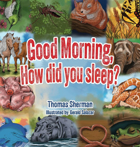 Good Morning, How Did You Sleep? - (Hardback or Cased Book) Good Morning, How Did You Sleep? - (Hardback or Cased Book)