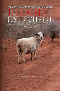 Transformed by the Blood of Jesus Christ Alone, Who Is the Grace of God: Volume 2 - (Paperback or Softback)