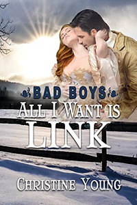 All I Want Is Link (Bad Boys)