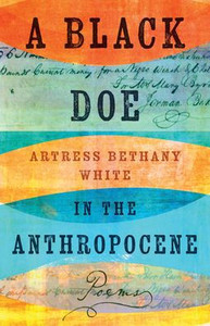 A Black Doe in the Anthropocene: Poems - (Paperback or Softback) A Black Doe in the Anthropocene: Poems - (Paperback or Softback)