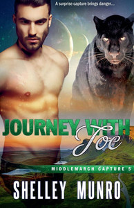 Journey With Joe Journey With Joe