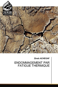 Endommagement Par Fatigue Thermique